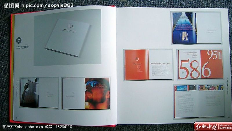 书籍装帧设计国际经典版式5图片
