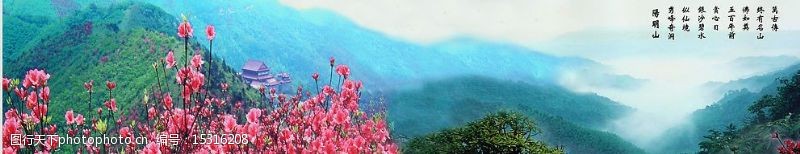 旅游圣地中国湖南阳明山杜鹃花海图片