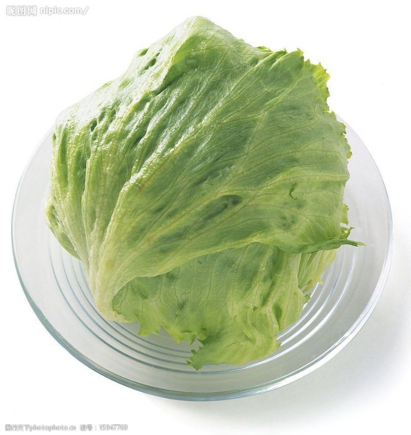 绿色食品底色圆白菜图片