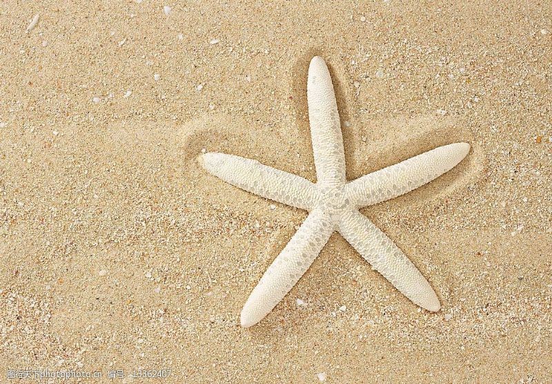 金色沙滩浪漫海星图片