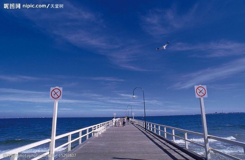 旅客海边桥廊图片