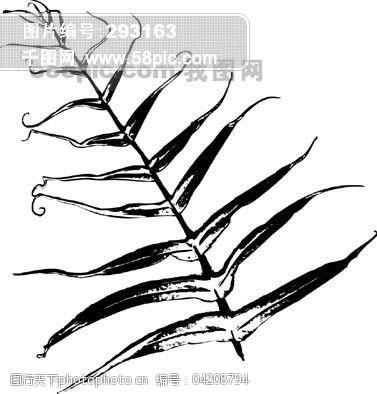 全球首席大百科水墨黑白笔刷叶子树叶叶脉脉络标本纹理拓印
