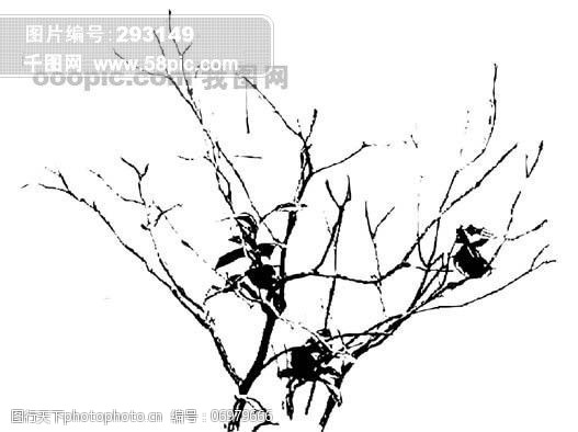 树叶图片免费下载全球首席大百科水墨黑白笔刷叶子树叶叶脉脉络标本纹理拓印