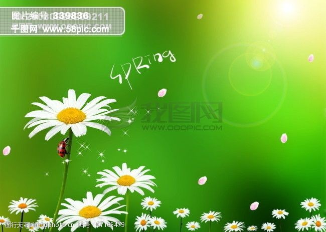 绿色植物花朵昆虫绿色背景春意盎然PSD分层源文件韩国花纹图库